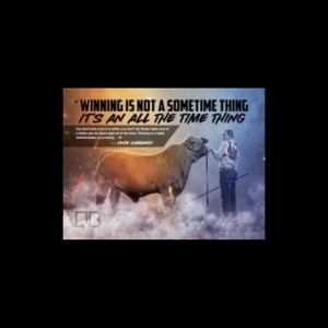 Meet your Posher, Paul